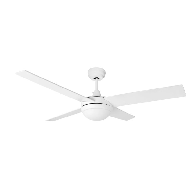 Ceiling fan